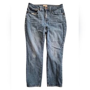 Madewell Women's Straight Curvy Leg Jeans - Blue